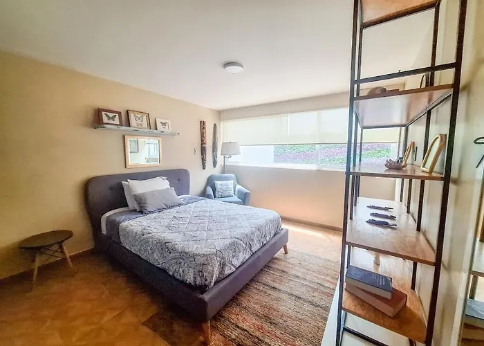 Apartment Entire Near Coyoacan And Plaza Universidad
